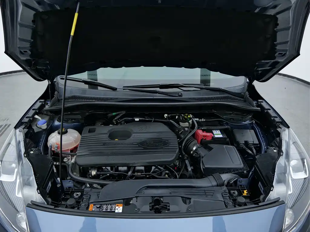 Ruiji 2020 EcoBoost 245 two-wheel drive leisure model