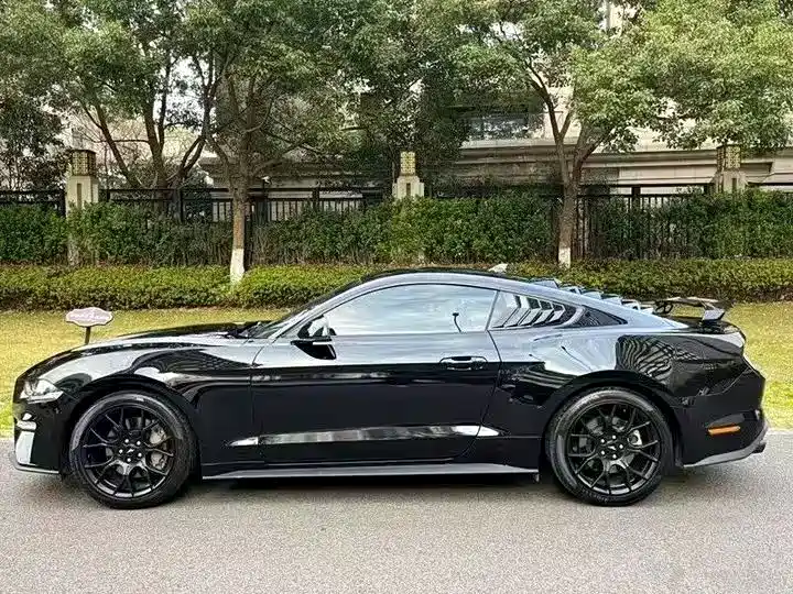 Mustang 2019 2.3L EcoBoost Performance Enhanced Version