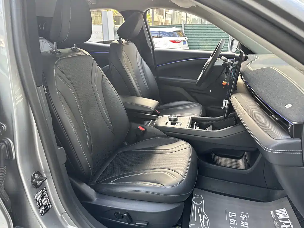 Ford Electric Horse 2021 Borderless Rear Drive Deluxe Edition Long Battery Life