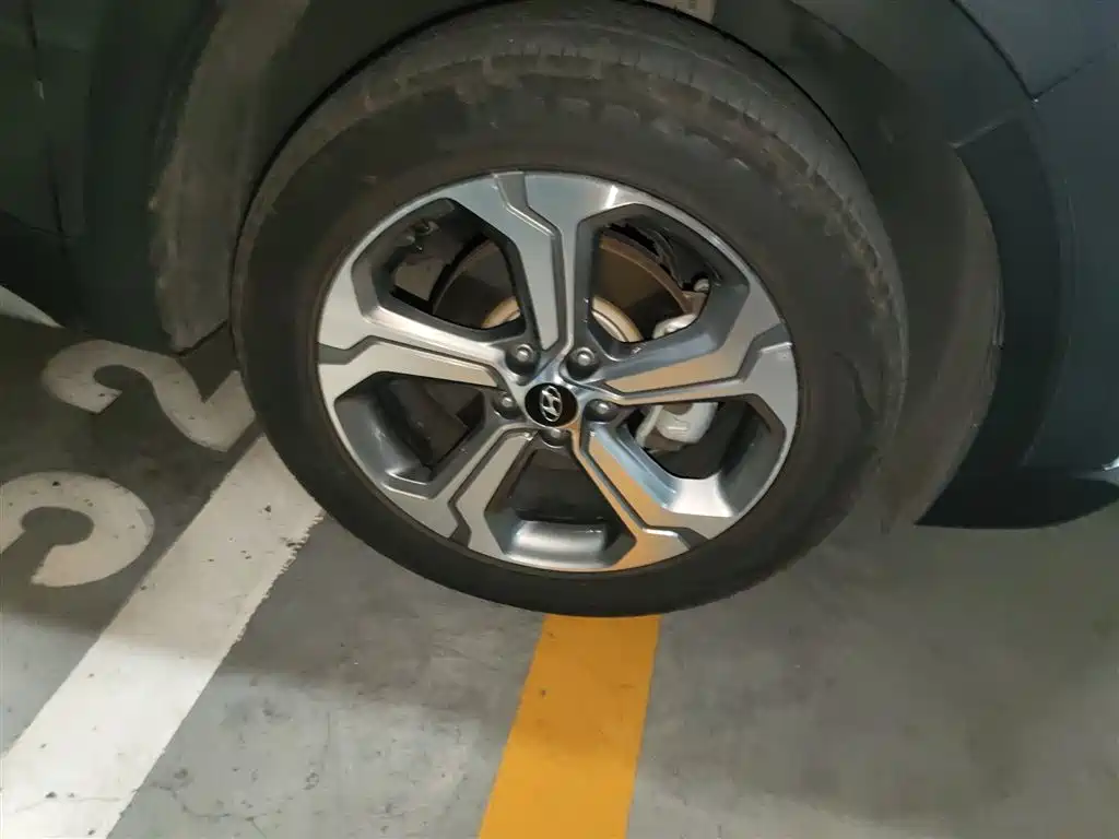 Shengda 2019 model 380 TGDi DLX automatic two-wheel drive Zhizun edition Country VI