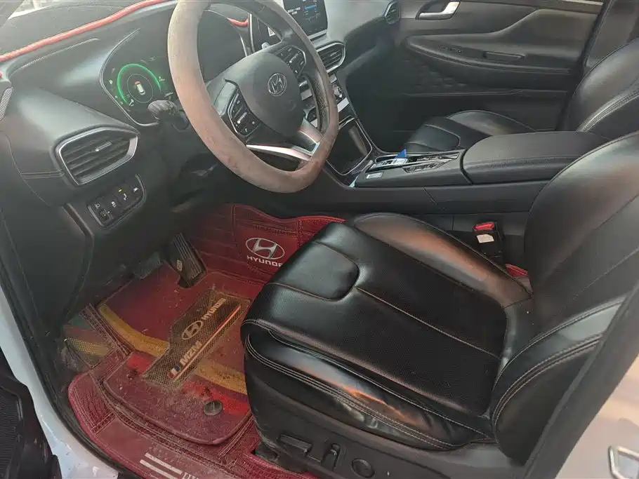 Shengda 2020 380 TGDi automatic two-wheel drive DLX Zhizun Edition PLUS