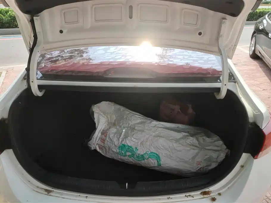 Фото машины 10