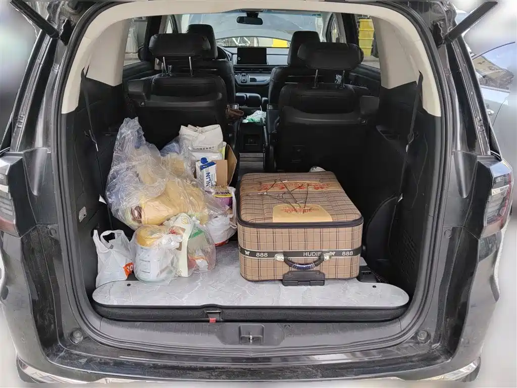 Ailishen 2022 2.0L e: HEV Extreme Edition