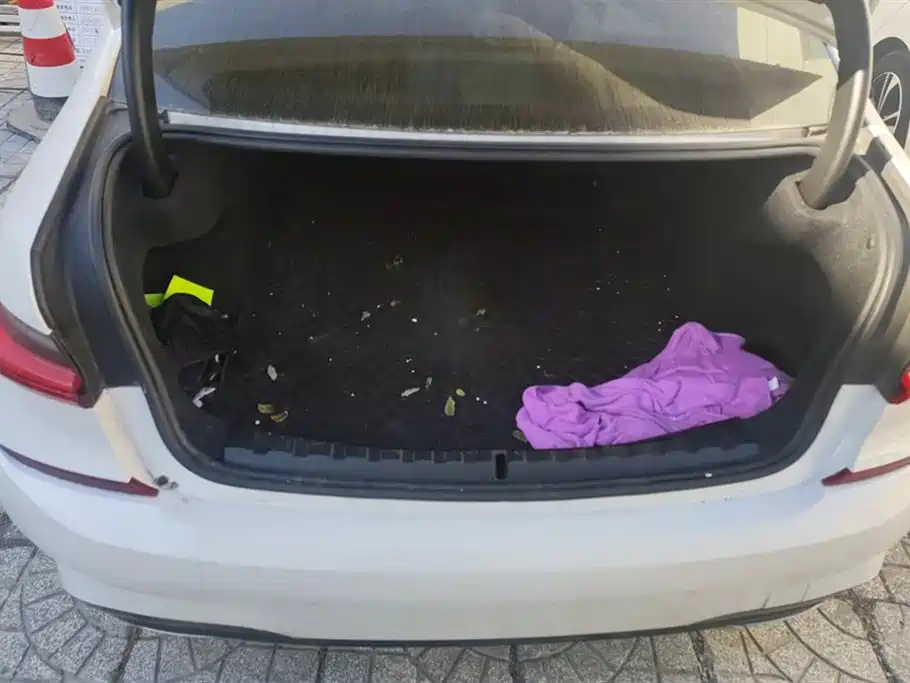 BMW 3 Series 2021 320Li M sports suit