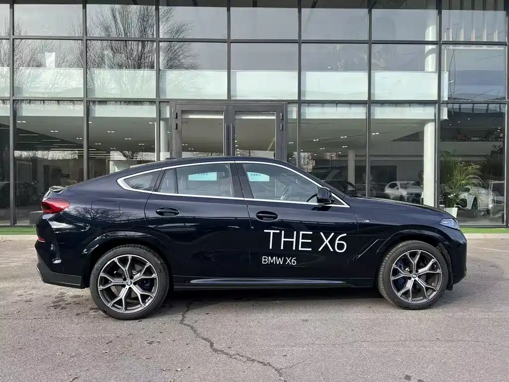 BMW X6 2023 xDrive40i Exclusive M Sports Suit