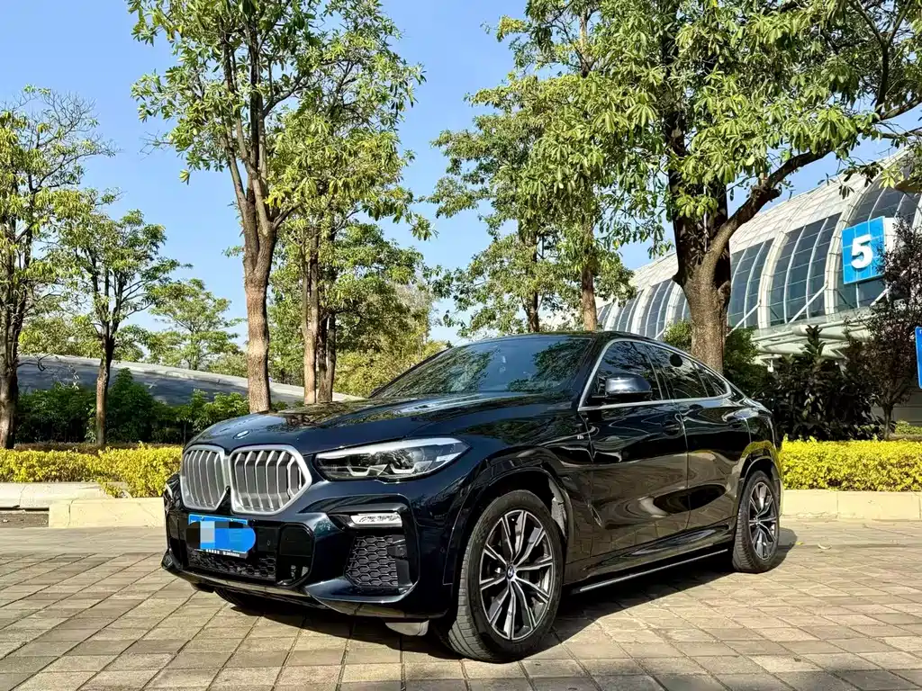 BMW X6 2021 xDrive30i M sports suit