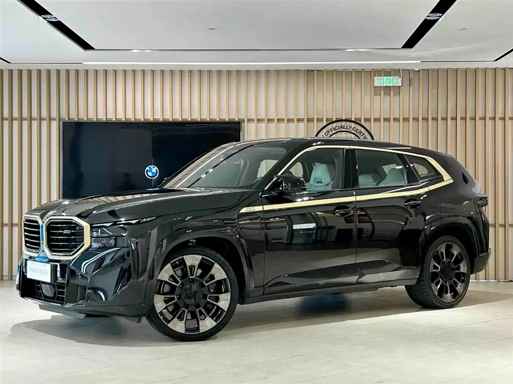 BMW XM 2023 basic model