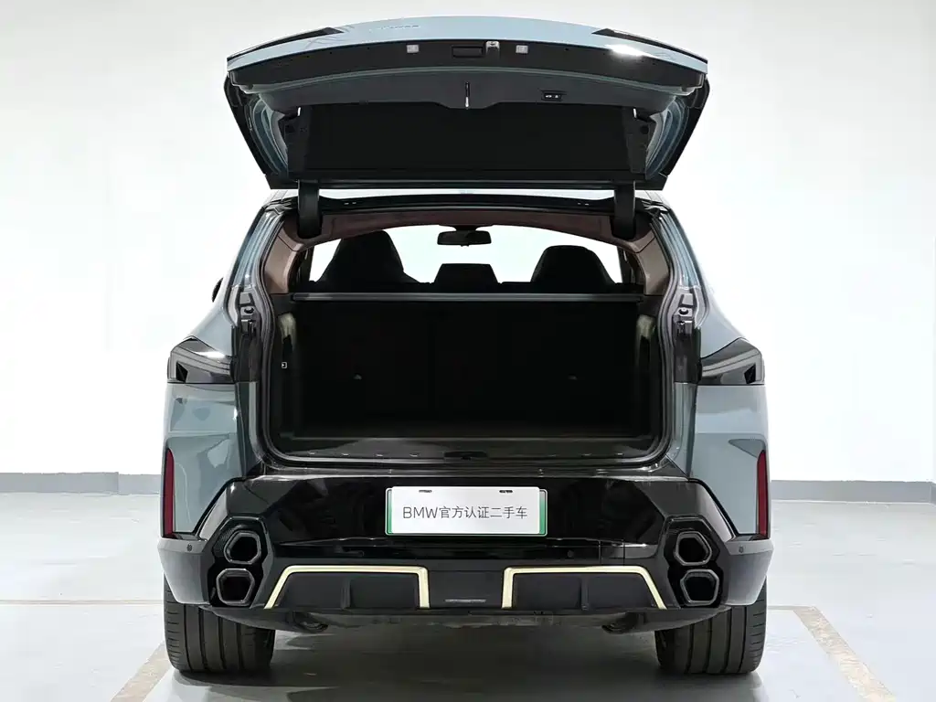 BMW XM 2023 basic model