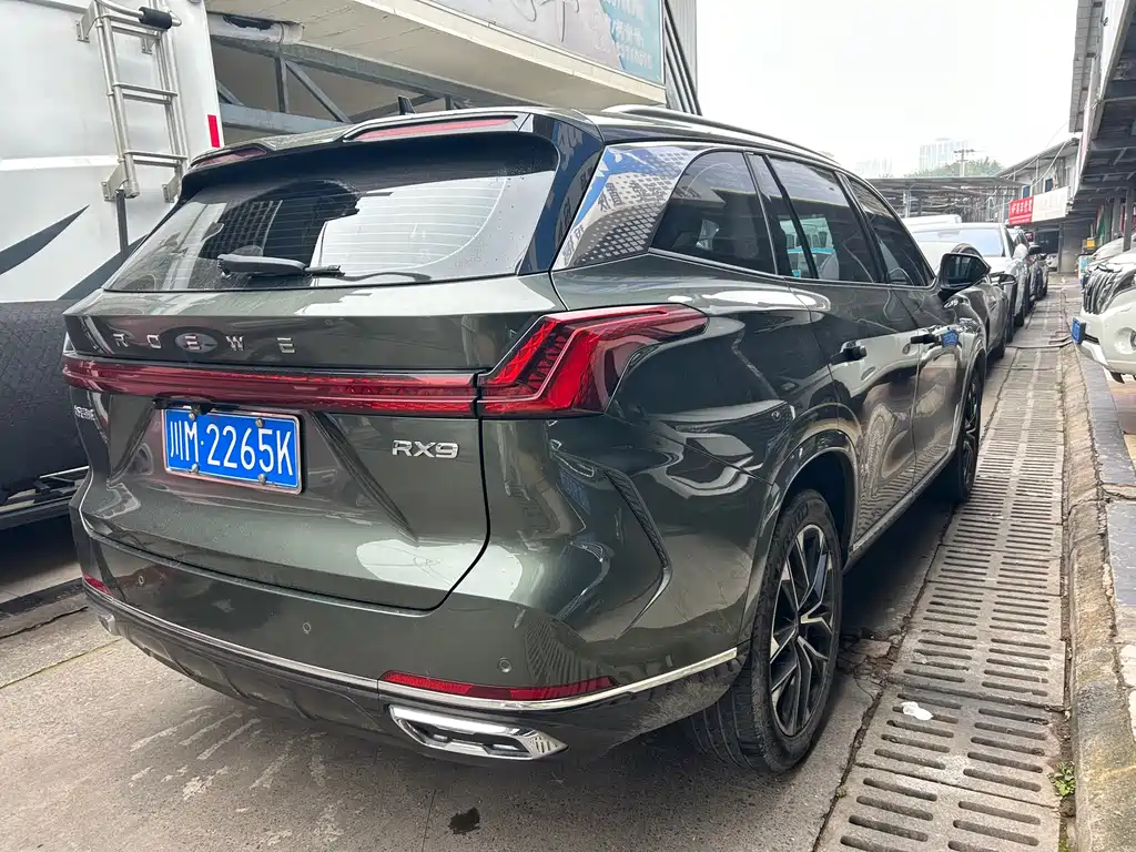 Roewe RX9 2023 2.0T two-wheel drive Premium edition
