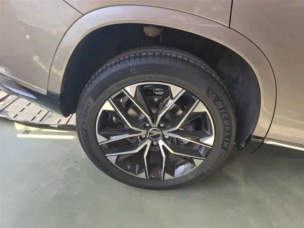Roewe RX9 2023 2.0T two-wheel drive Premium edition