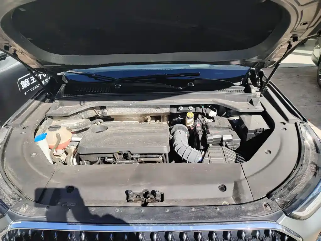 Tiggo 8L 2024 2.0T two-wheel drive Premium Edition 5 seats