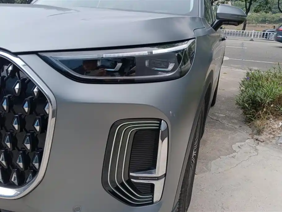 Tiggo 8L 2024 2.0T two-wheel drive Premium Edition 5 seats