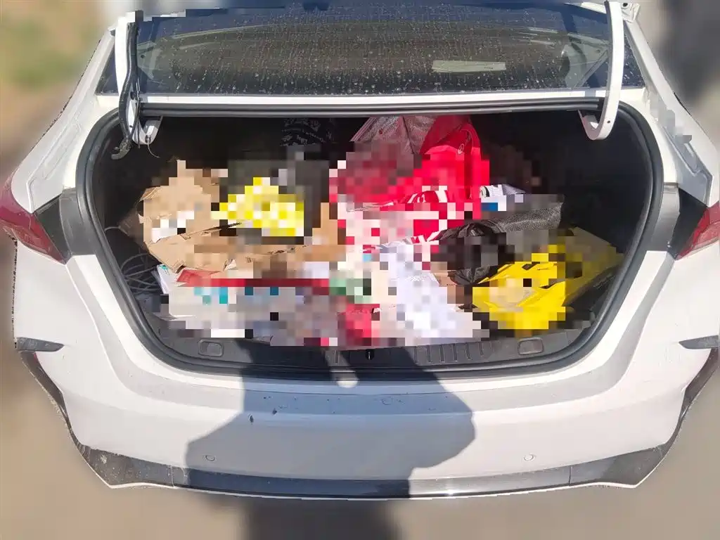 Weilang 2022 Pro GS Blast Edition