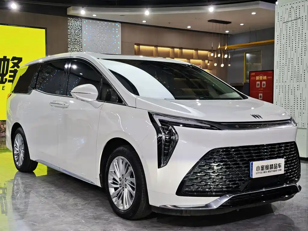 Century 2023 2.0T Six-seater Yunshi Edition