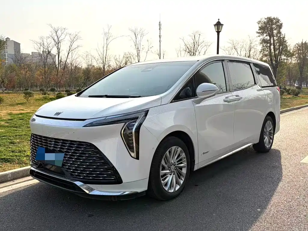 Century 2023 2.0T Six-seater Yunshi Edition