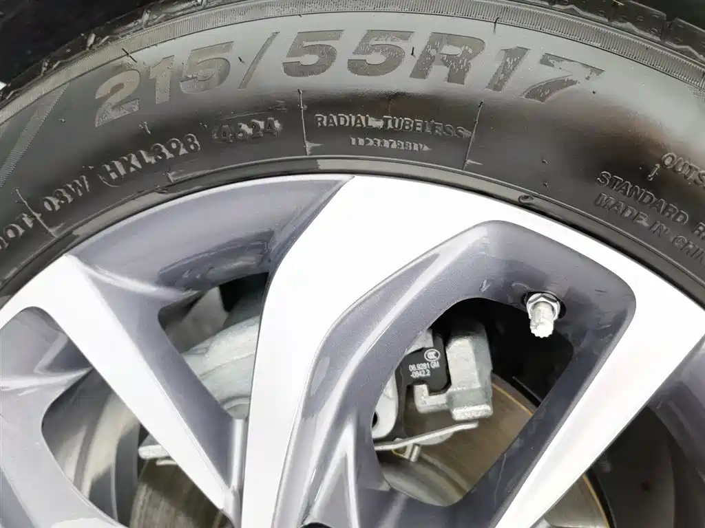 Micro Blue 6 2024 450km Comfort Edition PLUS