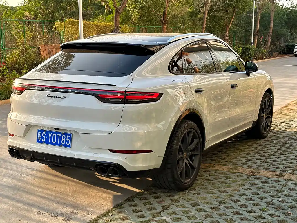 Cayenne 2022 Cayenne Coupé 3.0T Platinum Edition