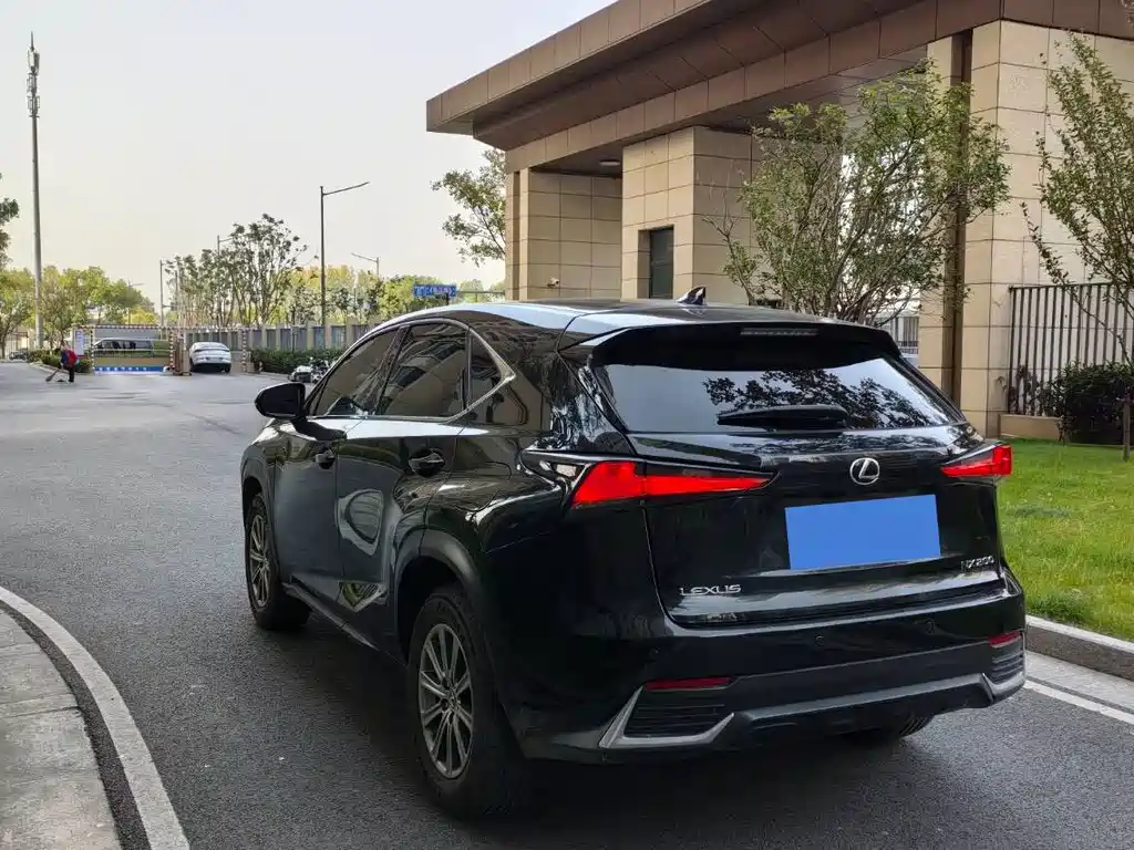 Lexus NX 2020 200 front-drive front-line version of the country V