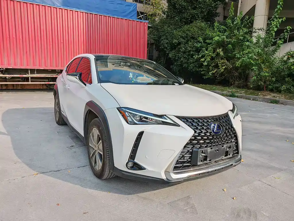Lexus UX New Energy 2020 Model 300e Pure*Exclusive Edition