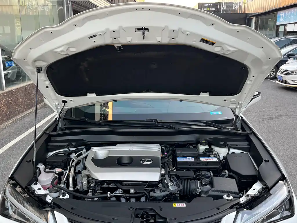 Lexus UX 2020 Model 200 Special Edition