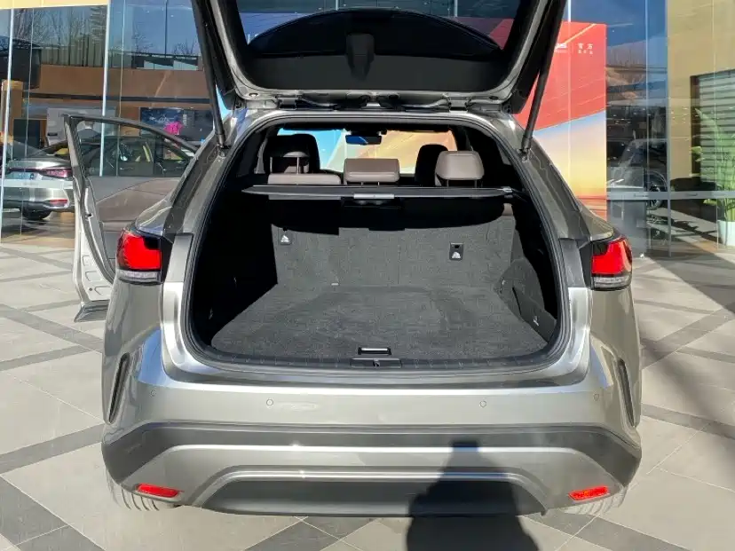 Lexus RX New Energy 2023 450h+ Four-wheel drive Enjoy Edition