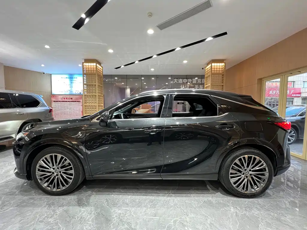 Lexus RX New Energy 2023 450h+ Four-wheel drive Enjoy Edition