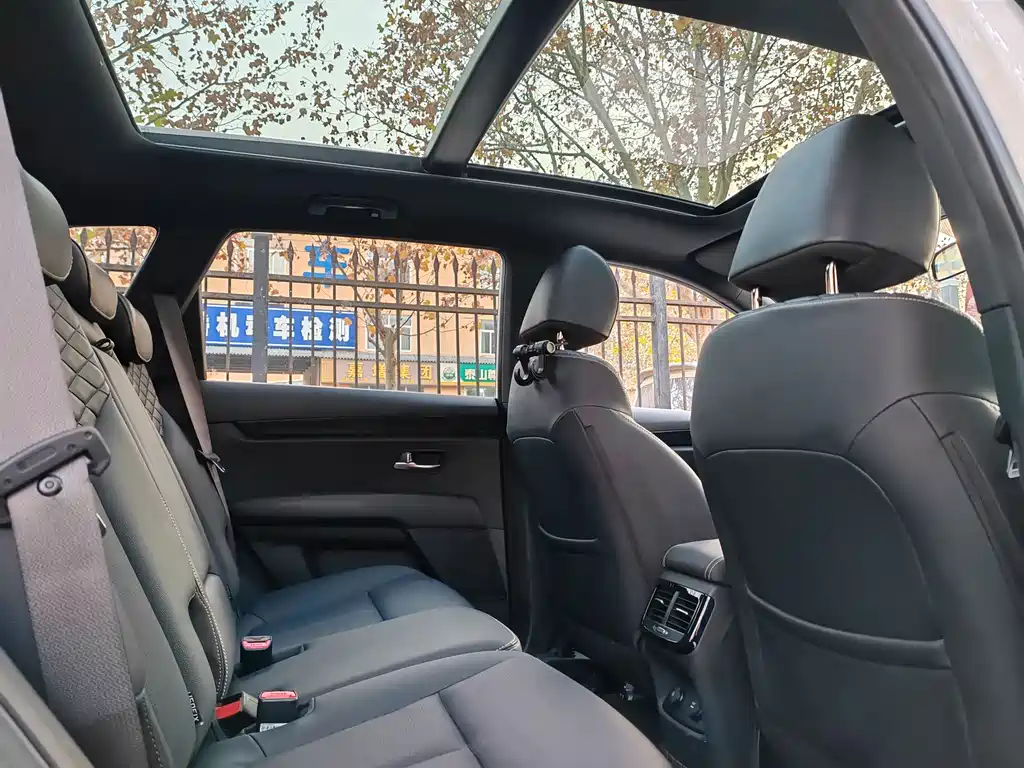 Kia KX7 2020 2.0T automatic two-wheel drive GL 7-seater