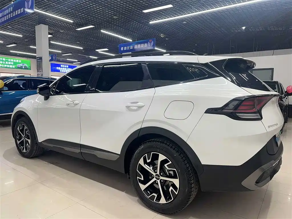 Lion Platinum Tuojie 2023 1.5T Two-wheel drive Premium Edition