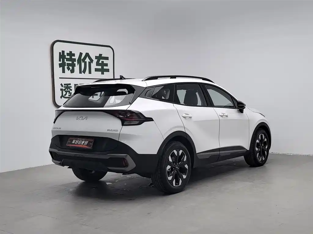 Lion Platinum Tuojie 2023 2.0T Two-wheel drive Premium Edition