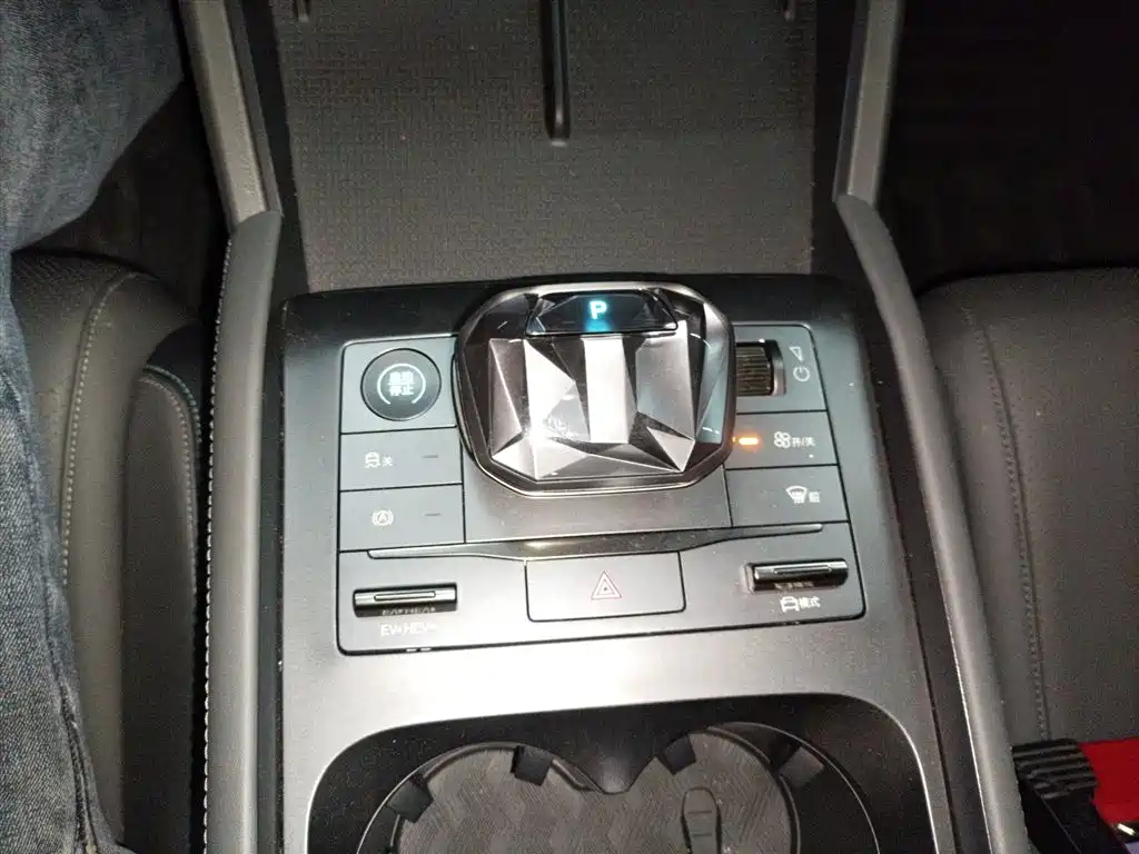 Qin L 2024 DM-i 80KM leading type