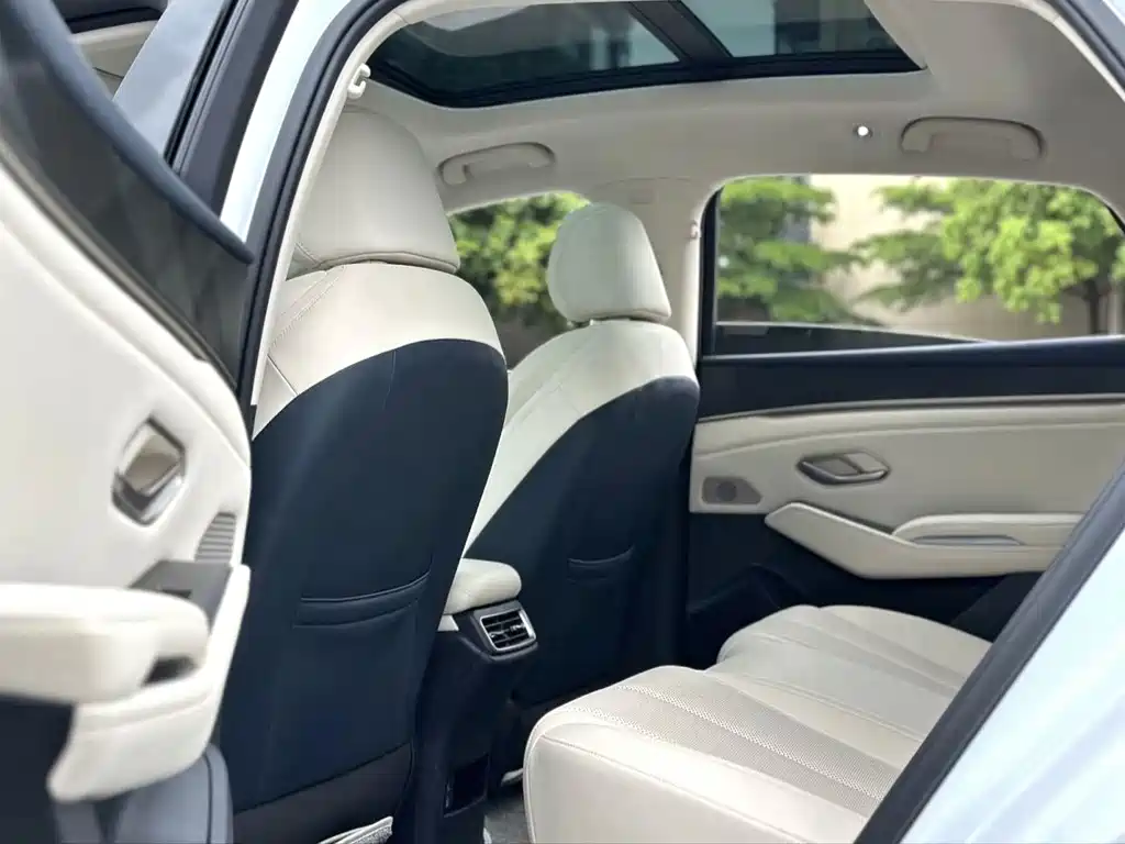 Qin L 2024 DM-i 80KM leading type