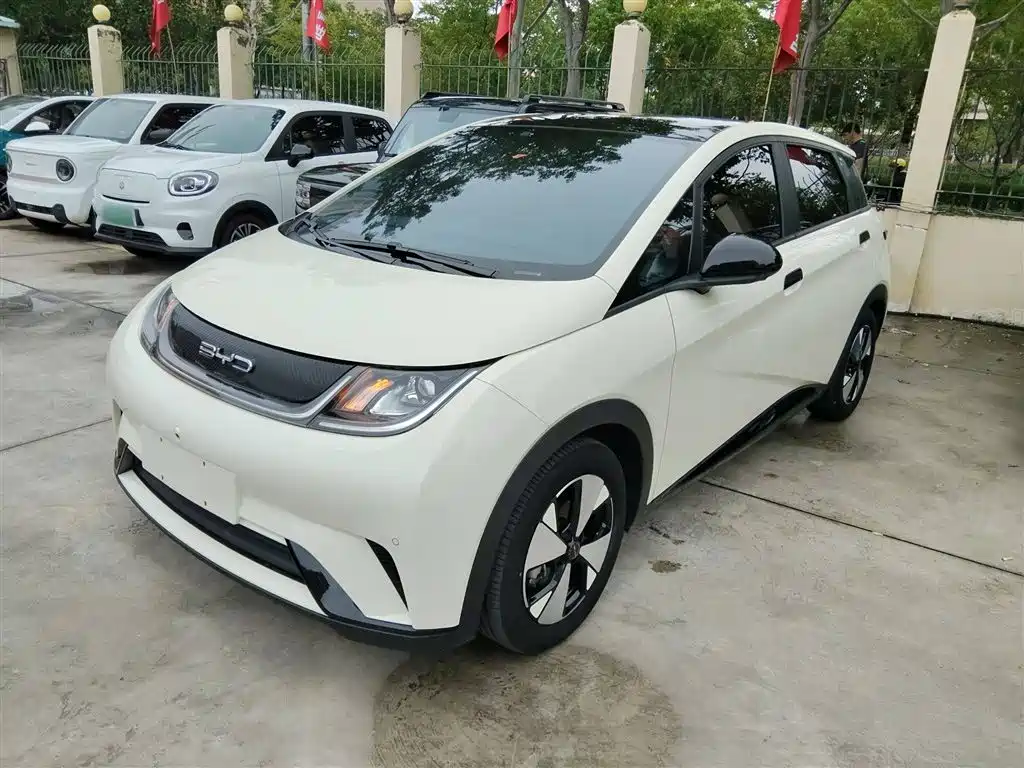 Dolphin 2023 420km fashion Version