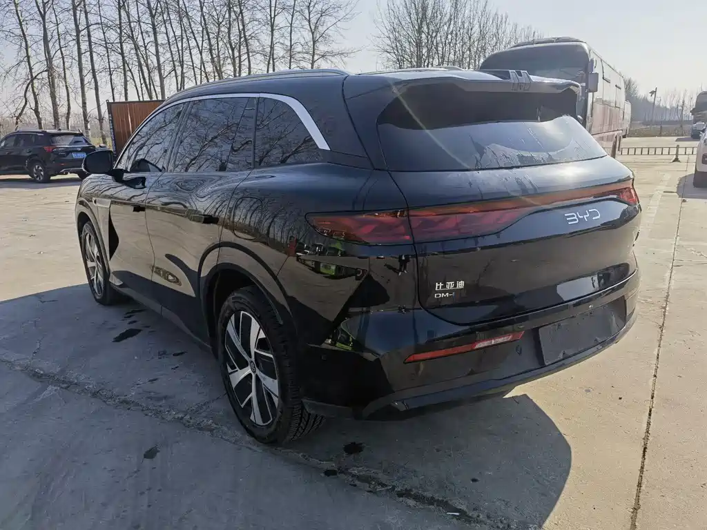 Tang L 2025 DM 215KM lidar flagship Type