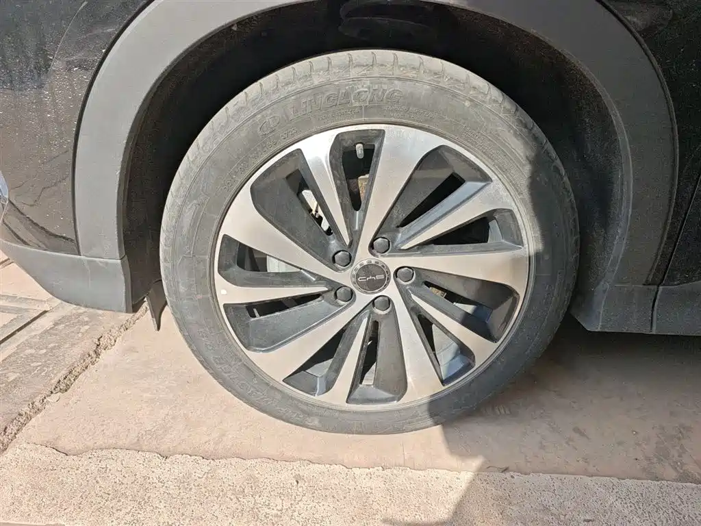 Song PLUS New Energy 2023 Champion Edition DM-i 110KM Flagship PLUS