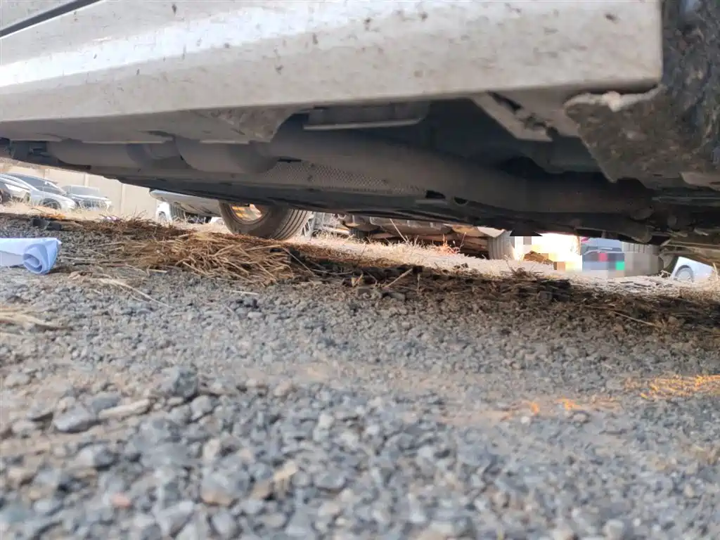 Qin PLUS 2023 Champion Edition DM-i 55KM Transcendent Type