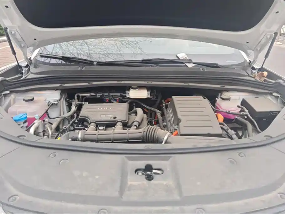 Song L DM-i 2024 160km transcendent type