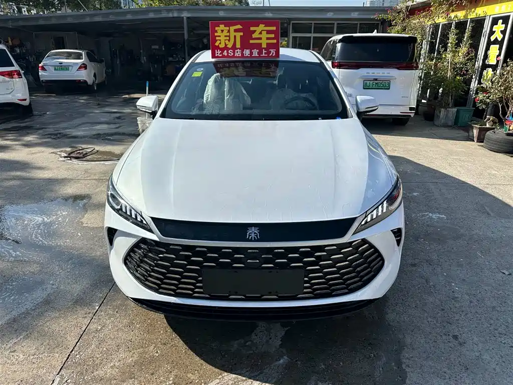 Qin PLUS 2025 DM-i Smart Driving Version 55KM leading Type