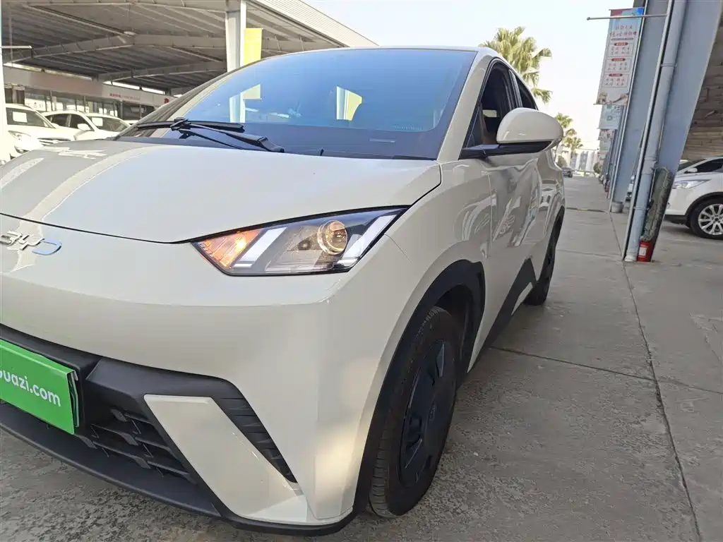 Seagull 2025 305km Vitality Edition