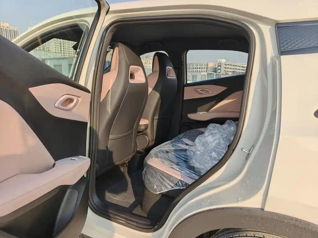 Seagull 2025 Smart Driving Version 405km Free Version