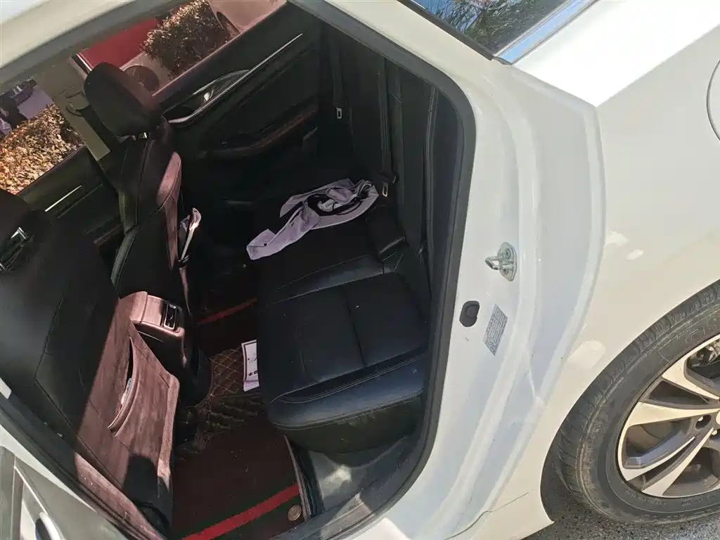 Yidong 2020 PLUS Blue Whale NE 1.4T GDI DCT Premium Type