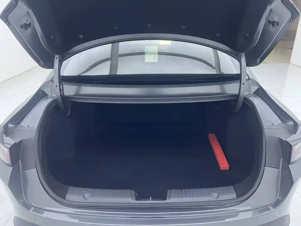 Yida 2023 Blue Whale NE 1.5T GDI DCT Exclusive Type