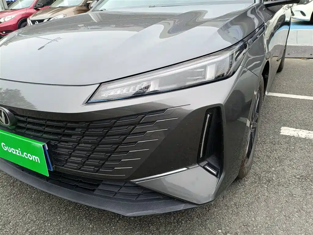 Yida 2023 Blue Whale NE 1.5T GDI DCT Exclusive Type