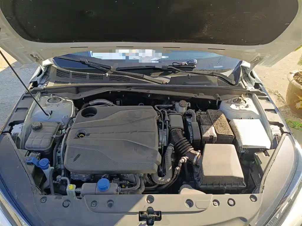 Yida 2023 Blue Whale NE 1.5T GDI DCT Exclusive Type