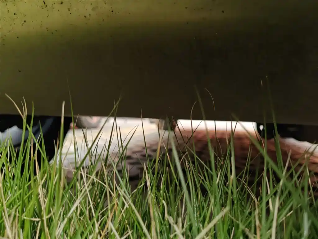 Фото машины 24