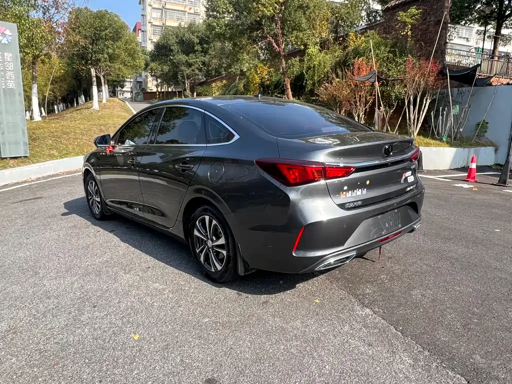 Yidong 2021 PLUS Blue Whale NE 1.4T GDI DCT Premium Type