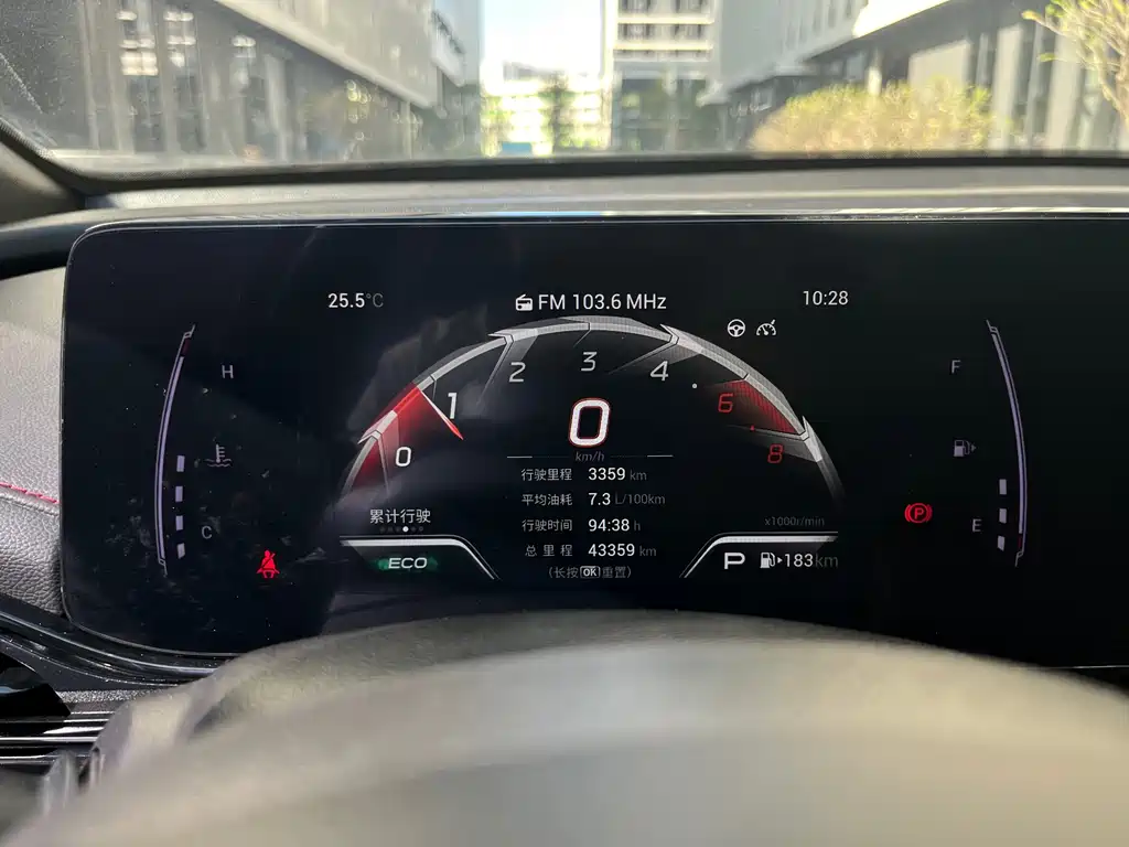 Shadow Leopard 2021 270T DCT J15 Version