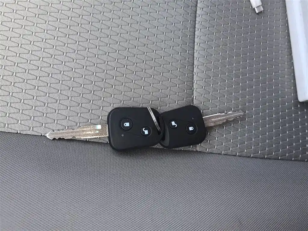 Little Sea Lion X30 2024 1.5L Fortune Bus 5/6/7 Seats