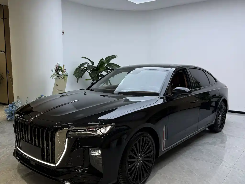 Hongqi H9 2025 2.0T two-wheel drive flag enjoy private fashion edition 5 seats