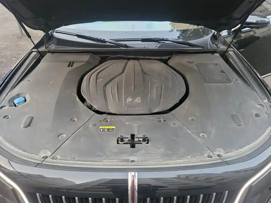 Hongqi H9 2022 Model 2.0T Zhilian Flag Enjoy Edition