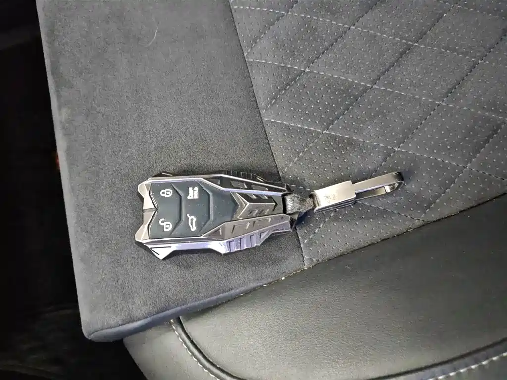 Hongqi HS7 2021 2.0T DCT two-wheel drive Zhilian Qichang Version